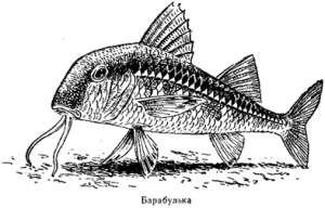 Волны над нами - i_039.jpg