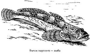 Волны над нами - i_041.jpg