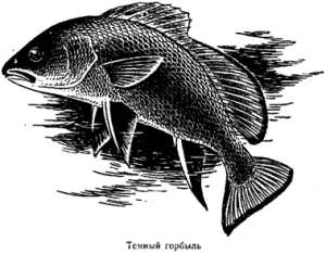 Волны над нами - i_043.jpg