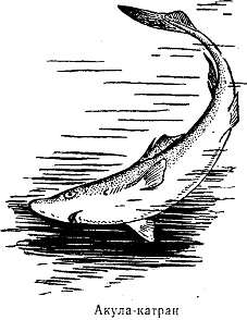 Волны над нами - i_051.jpg