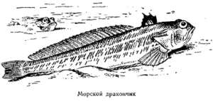 Волны над нами - i_059.jpg