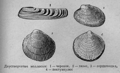 За голубым порогом - pic22.jpg