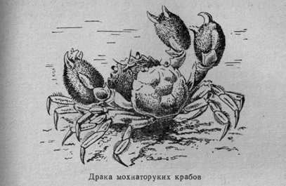 За голубым порогом - pic25.jpg