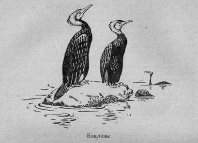 За голубым порогом - pic26.jpg