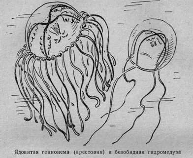 За голубым порогом - pic27.jpg