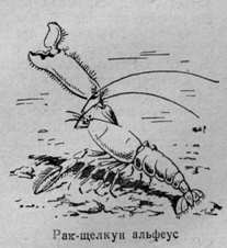 За голубым порогом - pic28.jpg