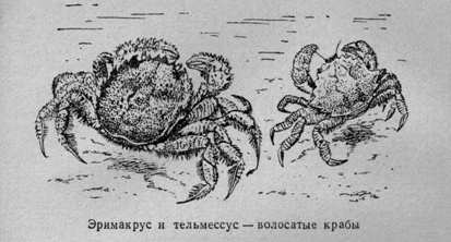 За голубым порогом - pic39.jpg