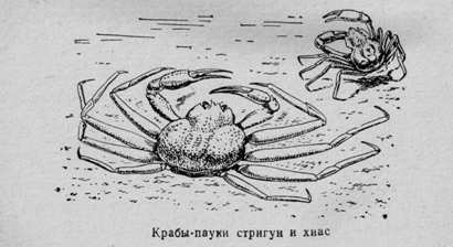 За голубым порогом - pic40.jpg