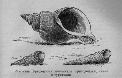 За голубым порогом - pic41.jpg