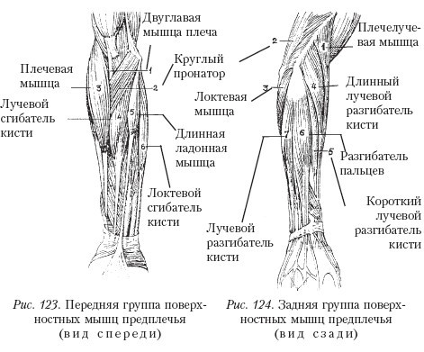 Массаж - _124.jpg