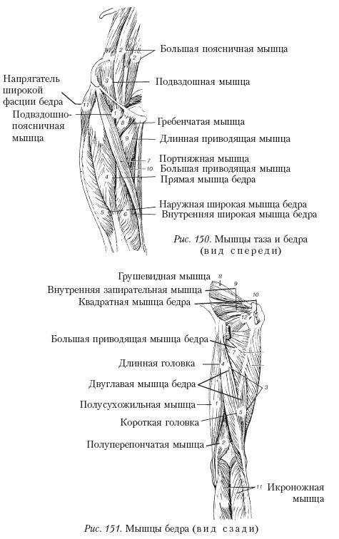 Массаж - _151.jpg