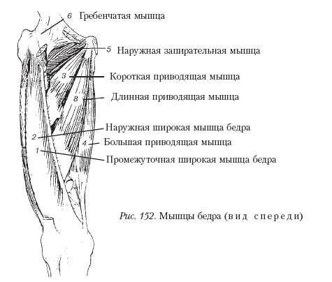 Массаж - _152.jpg