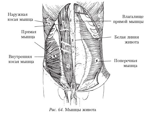 Массаж - _64.jpg