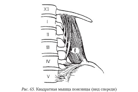 Массаж - _65.jpg