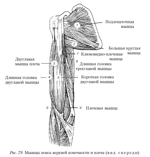 Массаж - _79.jpg