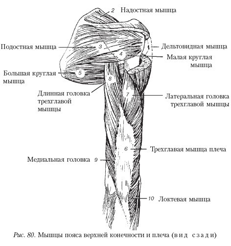 Массаж - _80.jpg