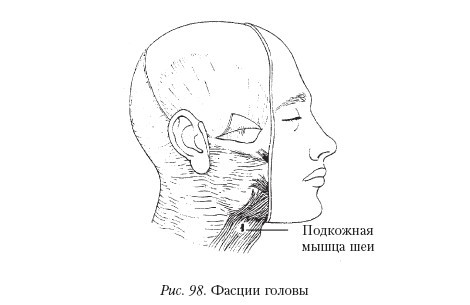 Массаж - _98.jpg