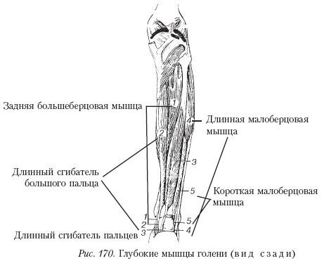 Массаж - _170.jpg