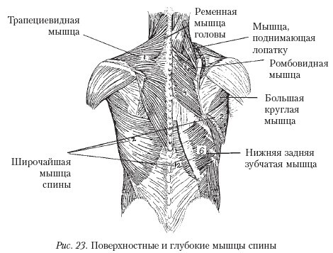 Массаж - _23.jpg