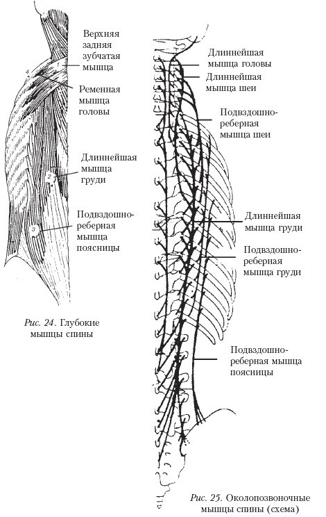 Массаж - _25.jpg