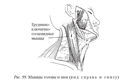 Массаж - _99.jpg