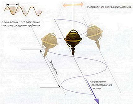 Мир в ореховой скорлупе - _37.jpg