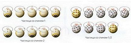 Мир в ореховой скорлупе - _41.jpg