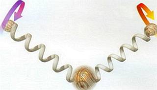 Мир в ореховой скорлупе - _127.jpg