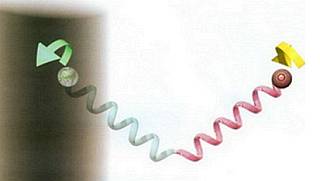 Мир в ореховой скорлупе - _128.jpg