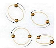 Мир в ореховой скорлупе - _145.jpg