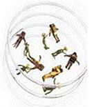 Мир в ореховой скорлупе - _150.jpg