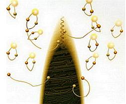 Мир в ореховой скорлупе - _151.jpg