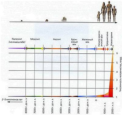 Мир в ореховой скорлупе - _163.jpg