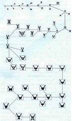 Мир в ореховой скорлупе - _170.jpg