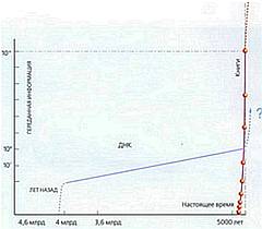 Мир в ореховой скорлупе - _171.jpg