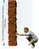 Мир в ореховой скорлупе - _173.jpg