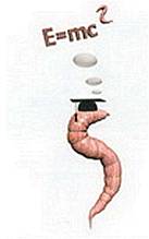 Мир в ореховой скорлупе - _175.jpg