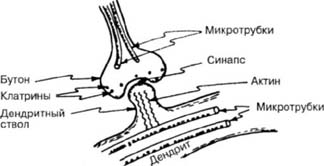 Большое, малое и человеческий разум - pic70.jpg