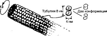 Большое, малое и человеческий разум - pic71.jpg