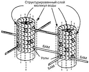 Большое, малое и человеческий разум - pic72.jpg