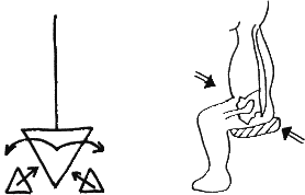 Помощь детям с церебральным параличом - _172.png