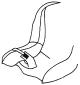 Помощь детям с церебральным параличом - _178.png