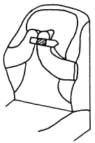 Помощь детям с церебральным параличом - _182.png