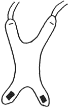 Помощь детям с церебральным параличом - _183.png