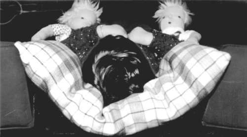 Помощь детям с церебральным параличом - r054.jpg