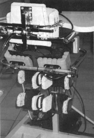 Помощь детям с церебральным параличом - r106.jpg