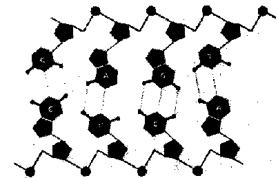 ГЕДЕЛЬ, ЭШЕР, БАХ: эта бесконечная гирлянда - i_118.png