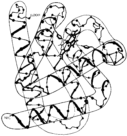 ГЕДЕЛЬ, ЭШЕР, БАХ: эта бесконечная гирлянда - i_121.png