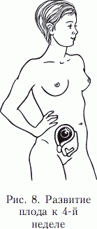 Мы ждем ребенка. Книга для будущих родителей - _09.png