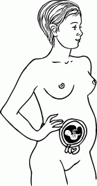 Мы ждем ребенка. Книга для будущих родителей - _12.png